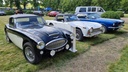 AUSTIN HEALEY BJ8 1964