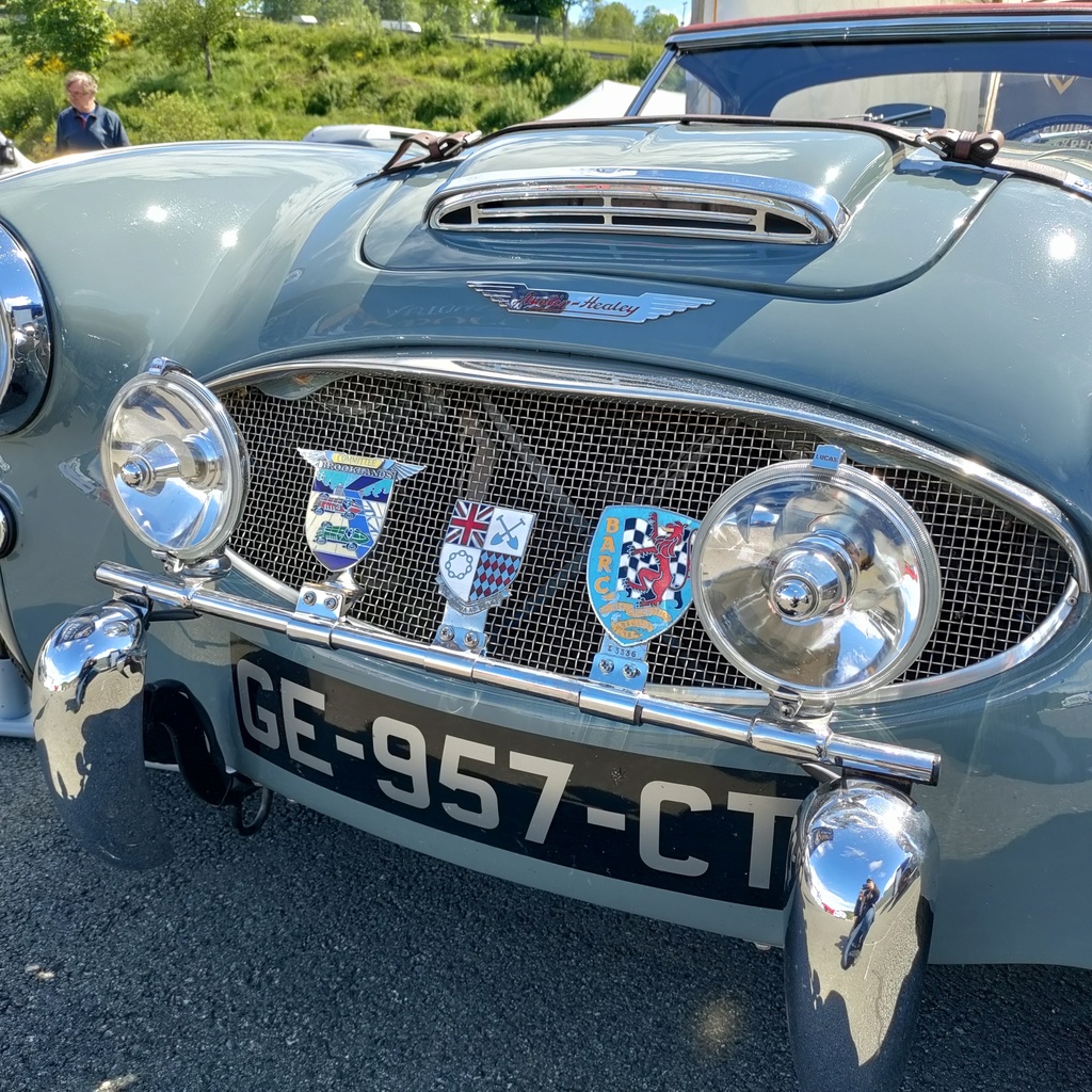 AUSTIN HEALEY BN6