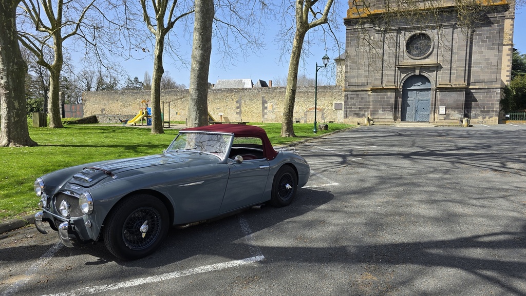 Vue profil gauche complet — Austin-Healey BN6 1959 gris Boche Heritage Concours — Boche Automobiles