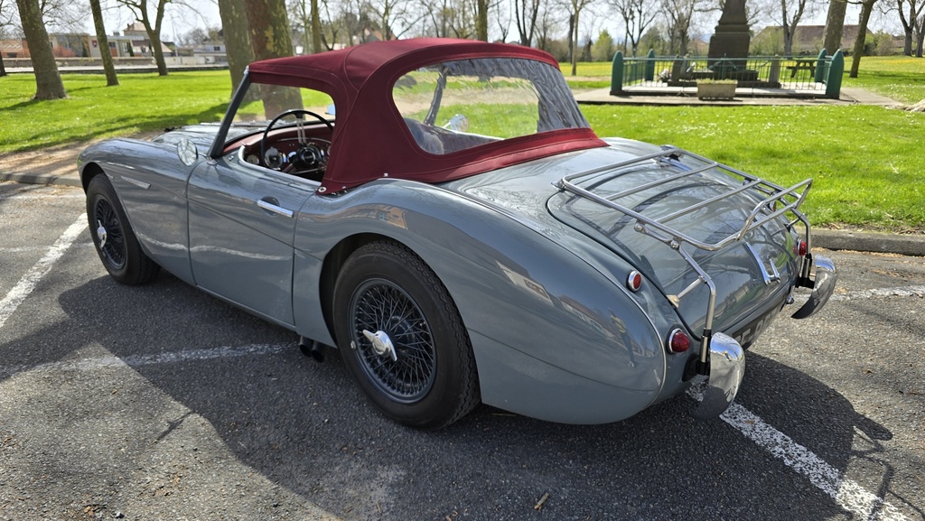 Detail pare-chocs et butoirs — Austin-Healey BN6 1959 gris Boche Heritage Concours — Boche Automobiles