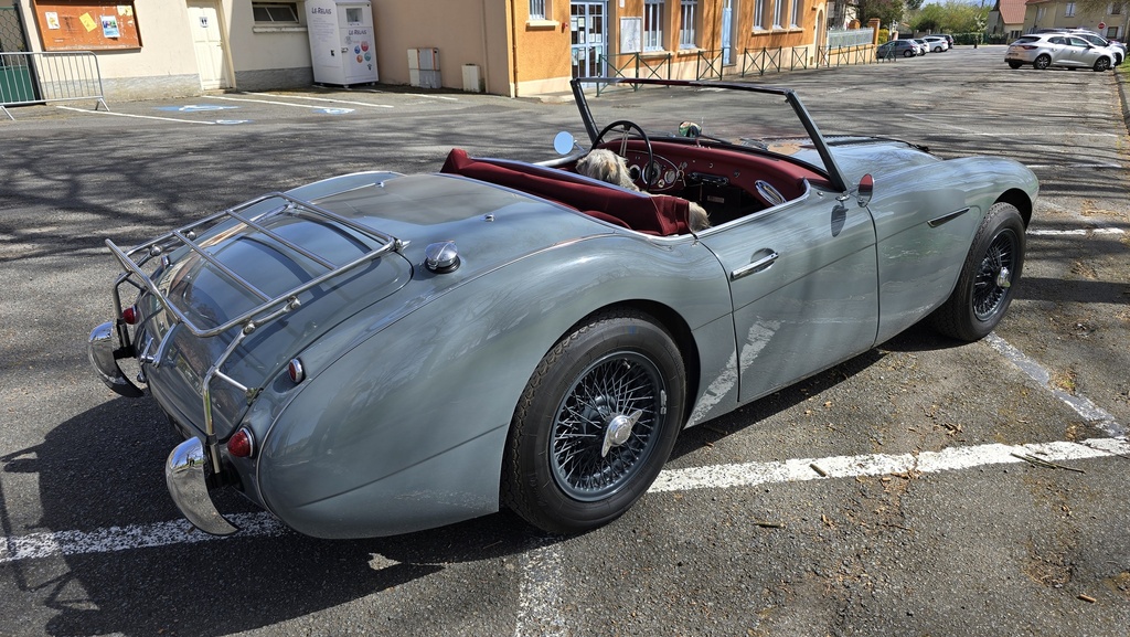 Vue en situation sur route — Austin-Healey BN6 1959 gris Boche Heritage Concours — Boche Automobiles