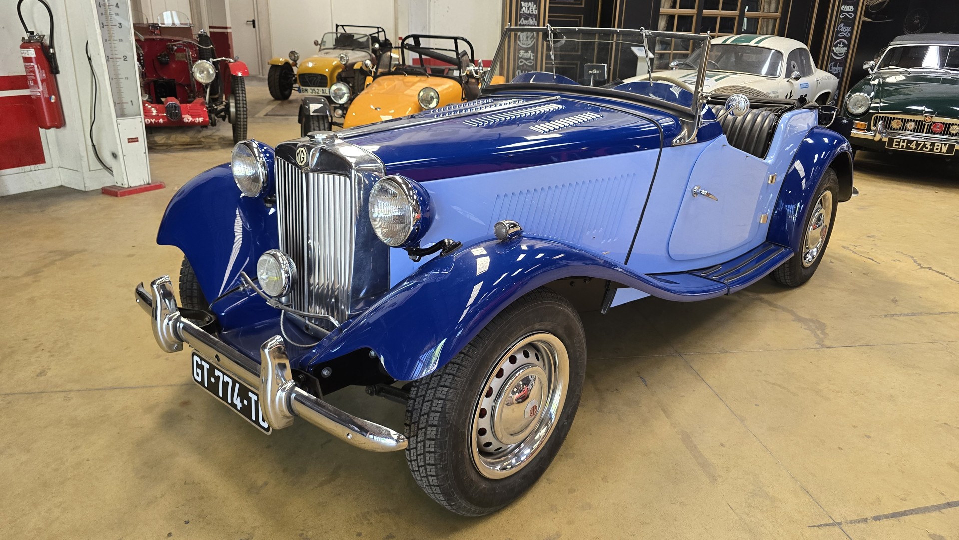 [JW53782] MG TD